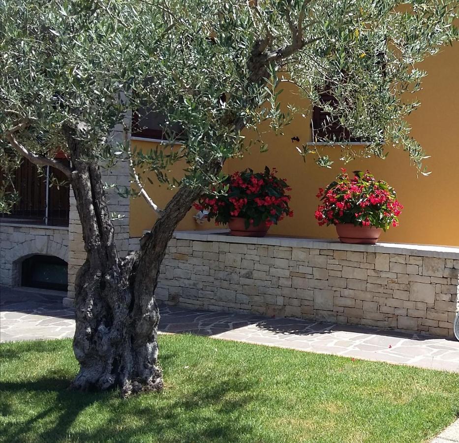 פורץ Studio Apartments Pinia-Marina מראה חיצוני תמונה